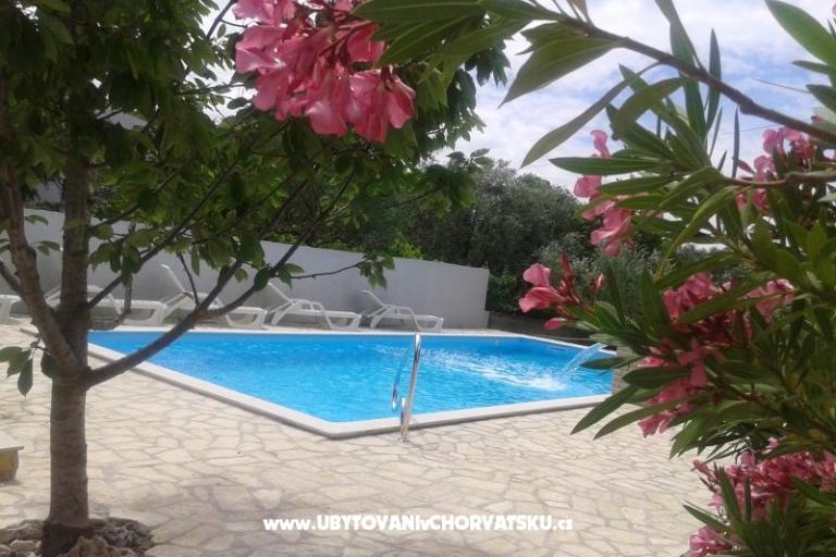 Dva labuda – фото 2