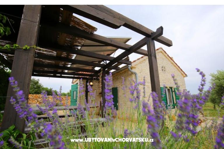 Olive Garden Paljka – фото 10