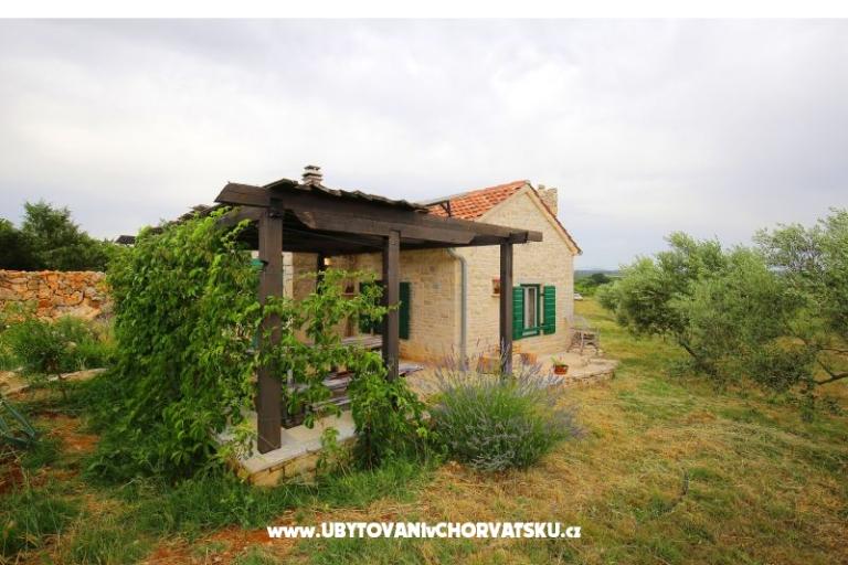 Olive Garden Paljka – фото 14
