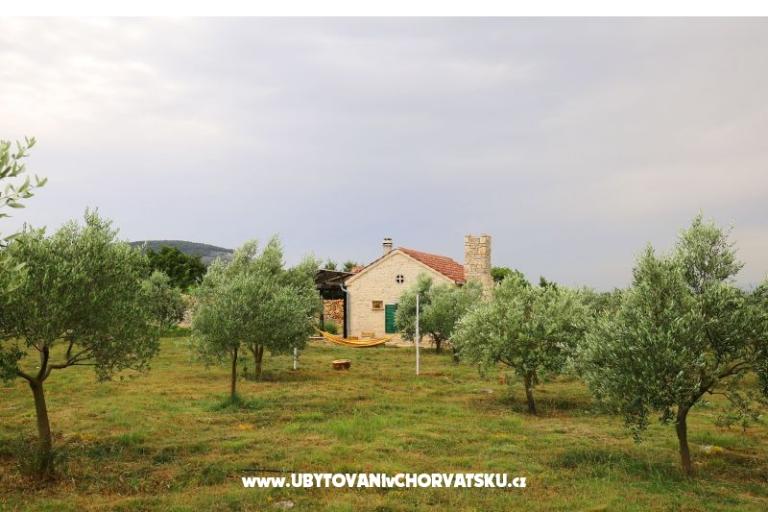 Olive Garden Paljka – фото 17