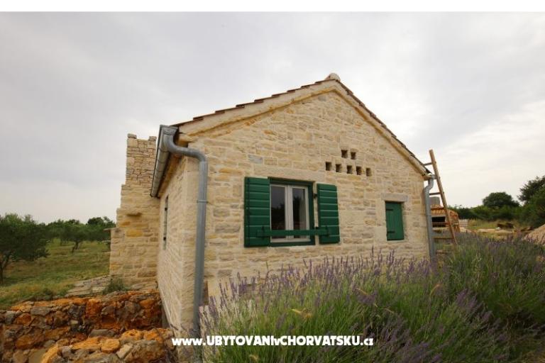 Olive Garden Paljka – фото 9