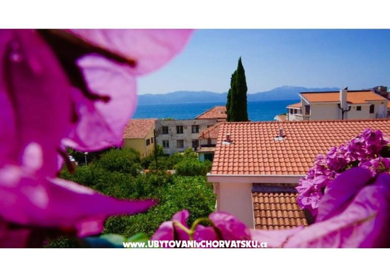 апартаменты Jerković Gradac – фото 8