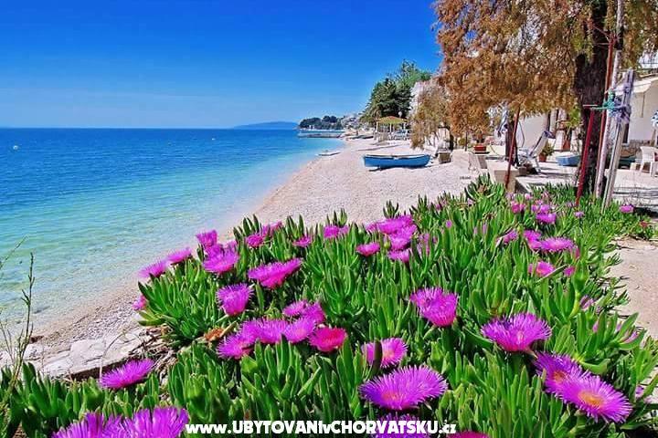 апартаменты Pećar – фото 6