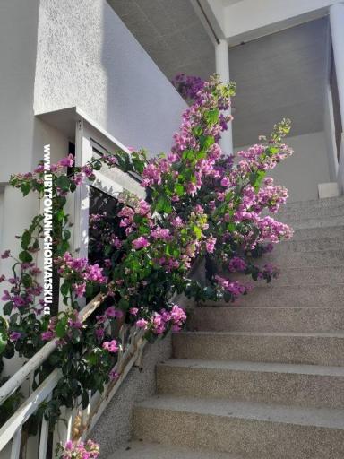 комнаты Katja Gradac center – фото 18