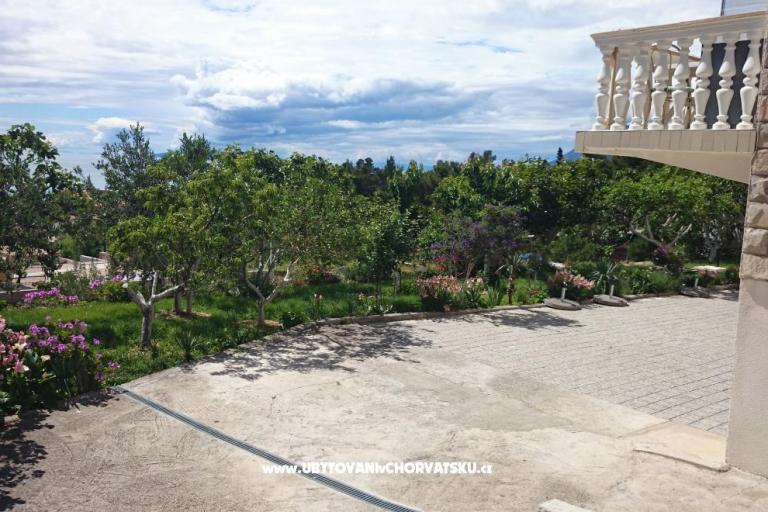 Vila Fefan – фото 8