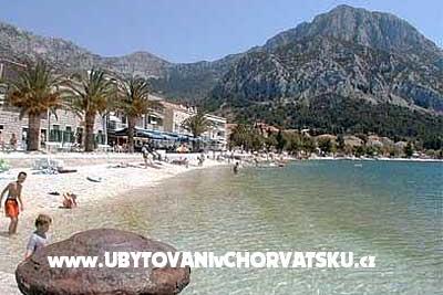 Vila Shutic Gradac – фото 11