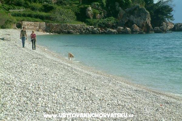 Vila Shutic Gradac – фото 12