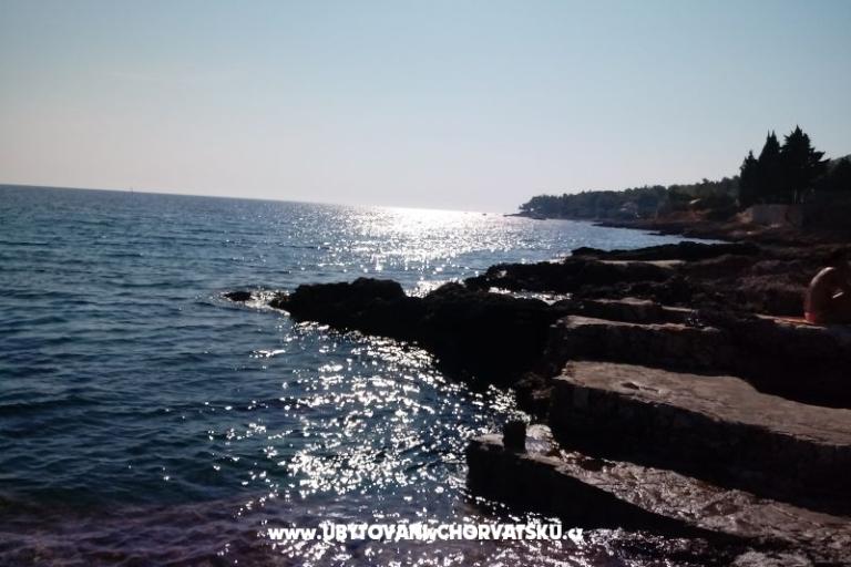 ART AND NATURE  – фото 16