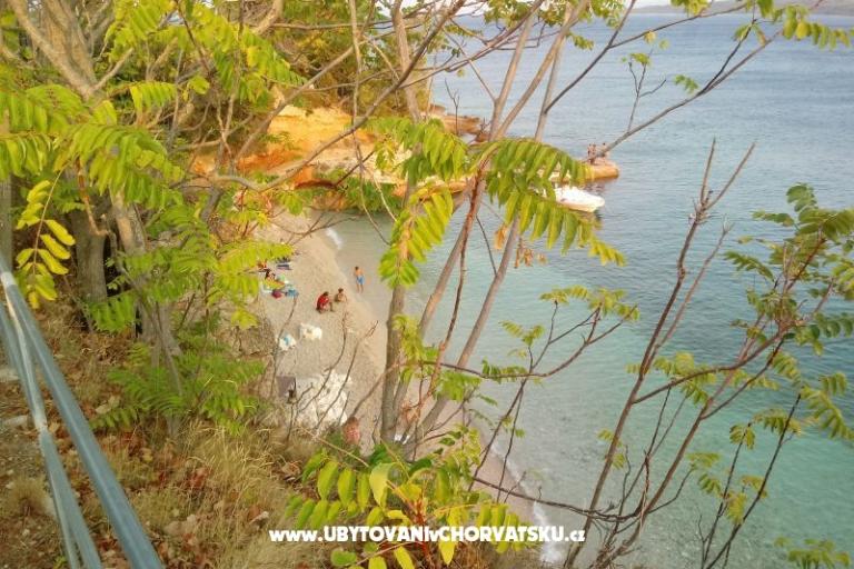 ART AND NATURE  – фото 3
