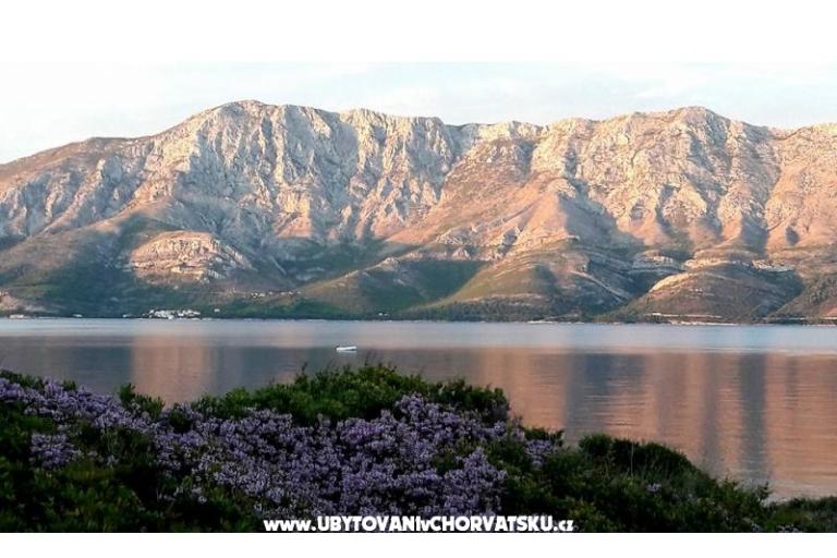 апартаменты Raueiser – фото 15