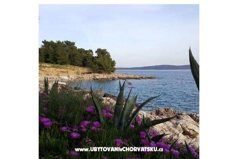 Sea View Adriatic Blu – фото 15
