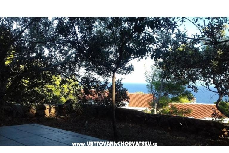 Tigrich apartmani – фото 11