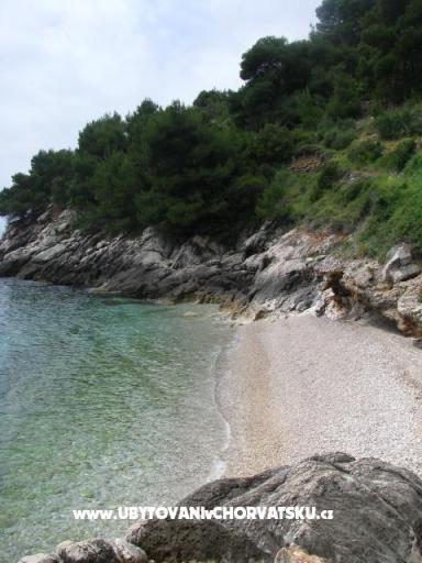 Vila Lila – фото 7