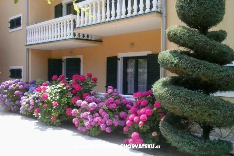 Villa Carevic – фото 4