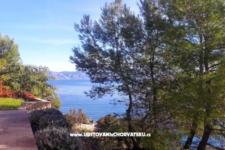 Villa Hvar Melody – фото 3