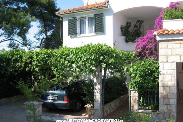 Villa Momus – фото 3