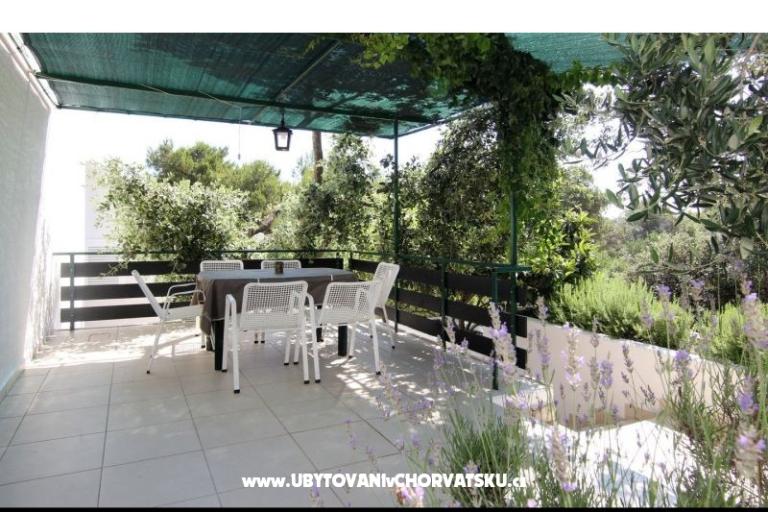Villa Ema – фото 10