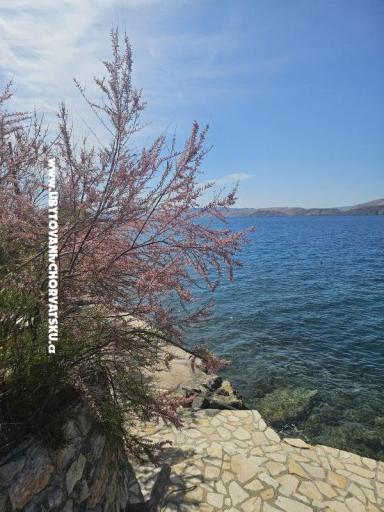Villa Amfora with Pool - Karlobag – фото 13