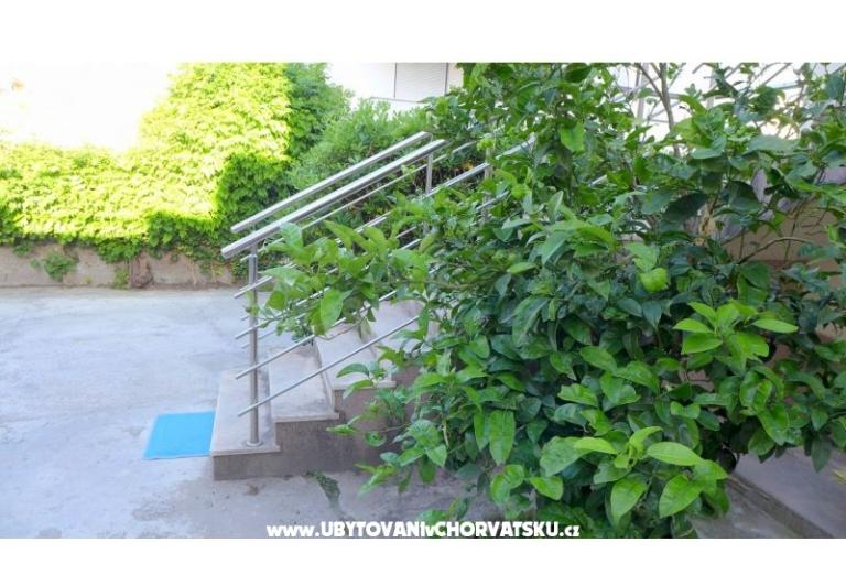 Zvijezda mora – фото 15