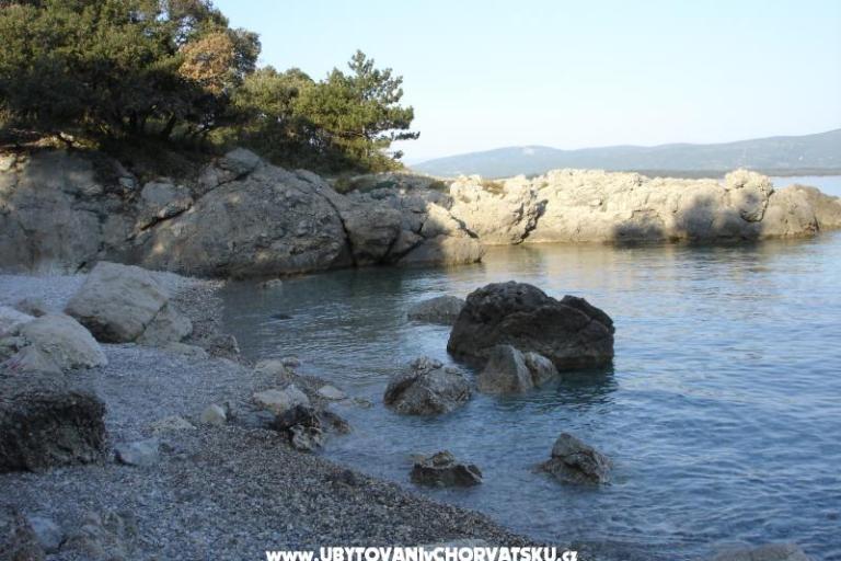 апартаменты Grzalja-Rozic Krk – фото 6