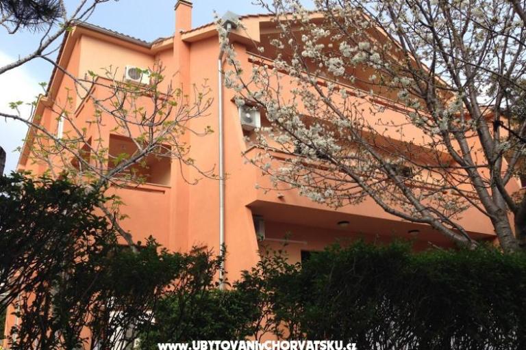 Apartm. Vlahinić Mirjana i Valerija – фото 6