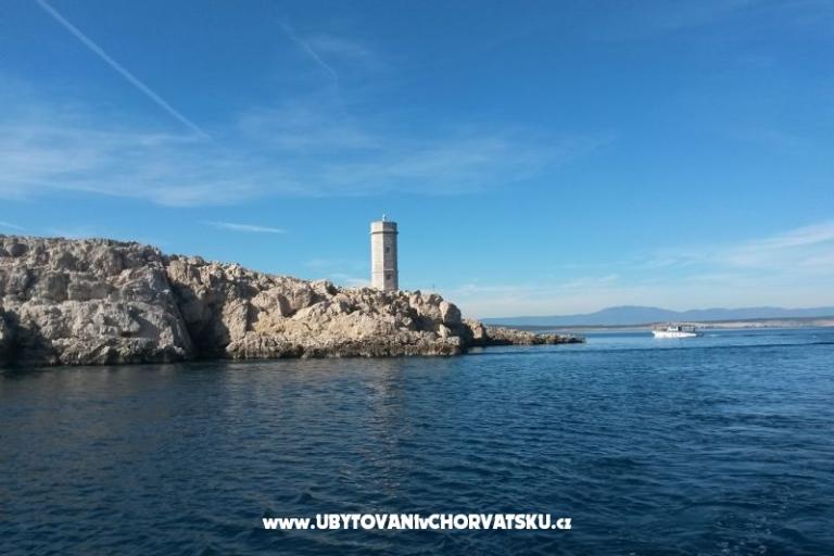 апартаменты Vila Maslina – фото 16