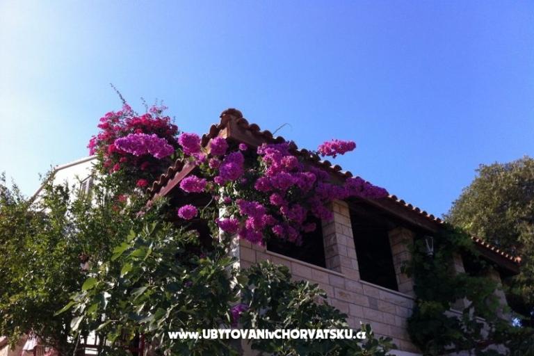 Villa Paradise – фото 5