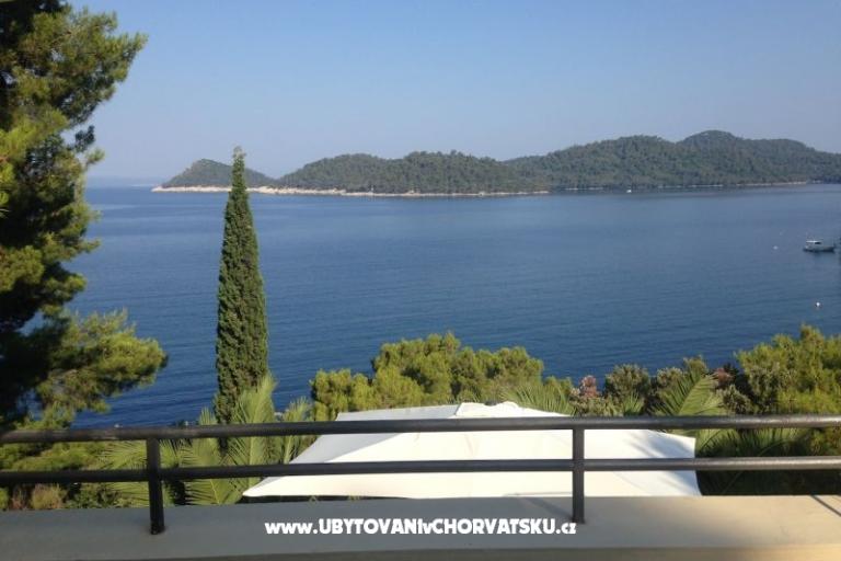 Villa Lastovo – фото 3