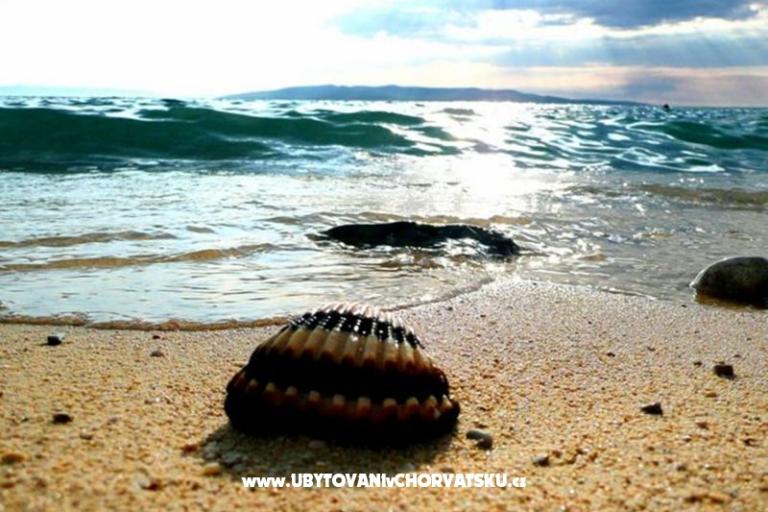 MARADO – фото 12