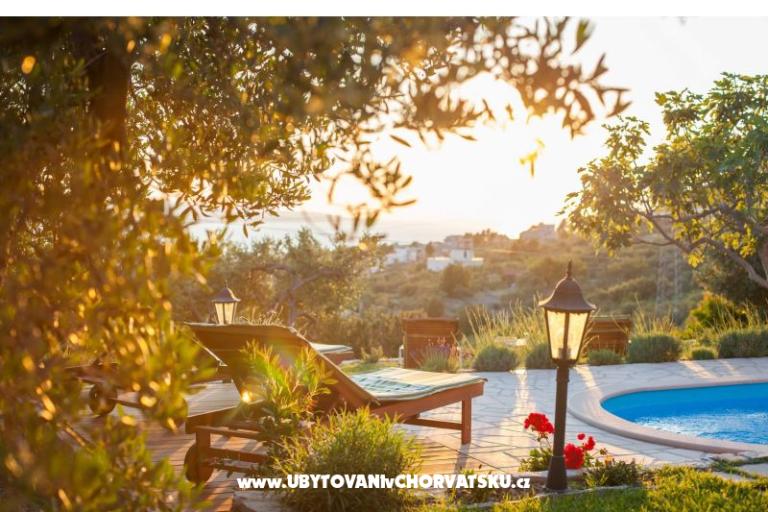 Rustic Oliveto – фото 2