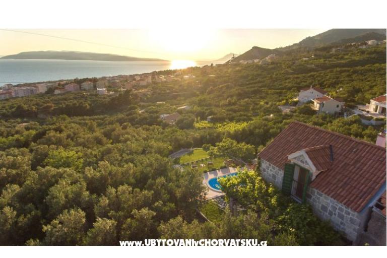Rustic Oliveto – фото 6