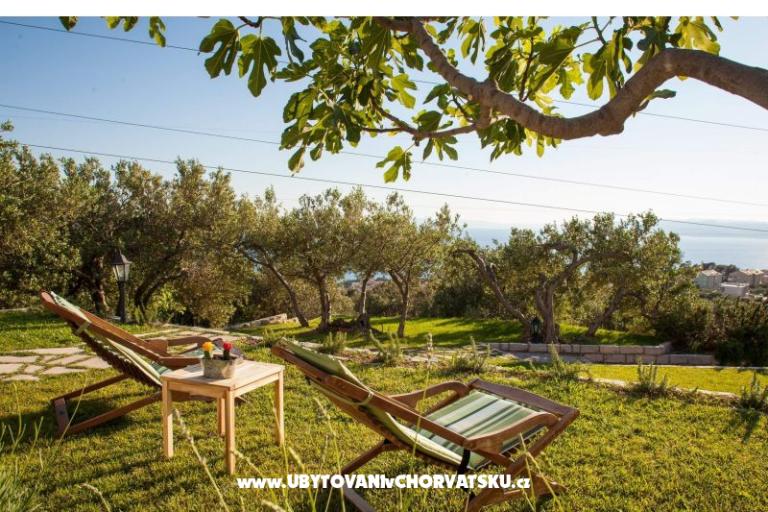 Rustic Oliveto – фото 7