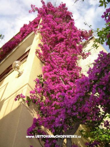 Vila Ventus – фото 16