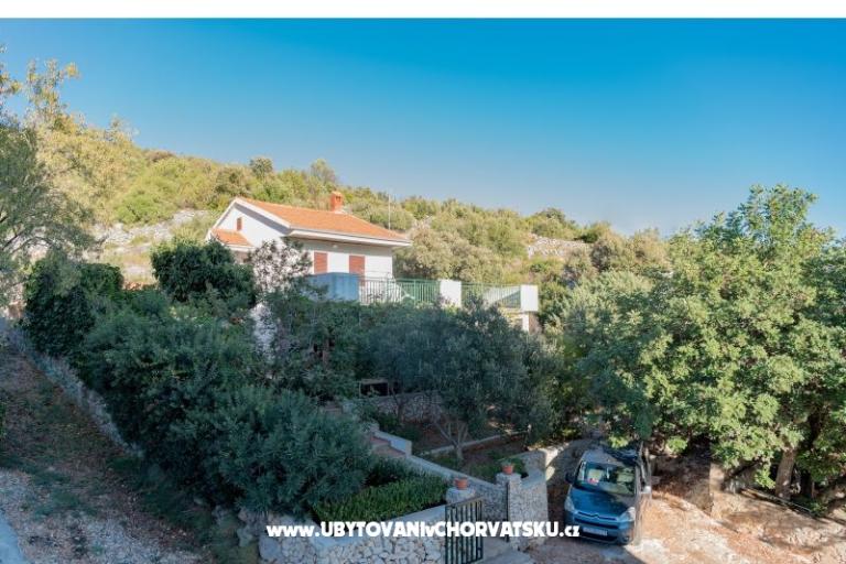 Villa Stella – фото 17