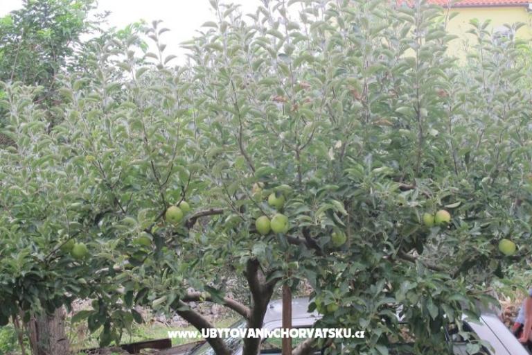 App Luna – фото 10