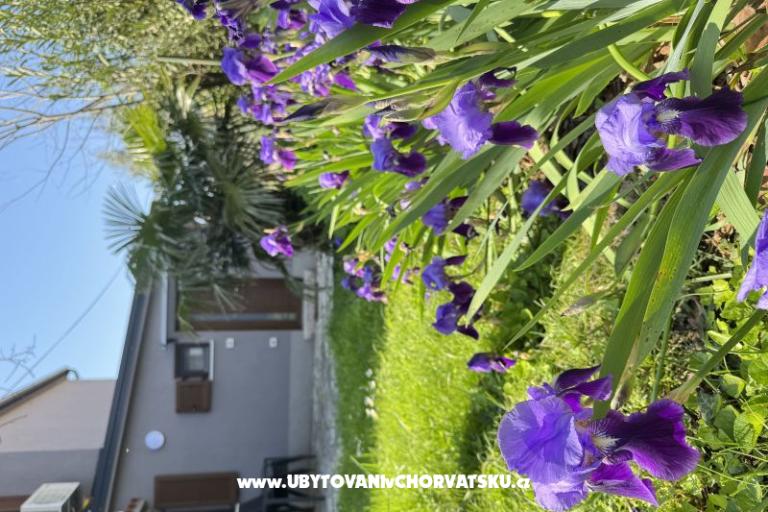 Flowers апартамент Medulin, Fucane 2 – фото 15