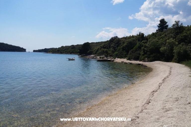 Villa Luka - jacuzzi, pool, sauna – фото 5