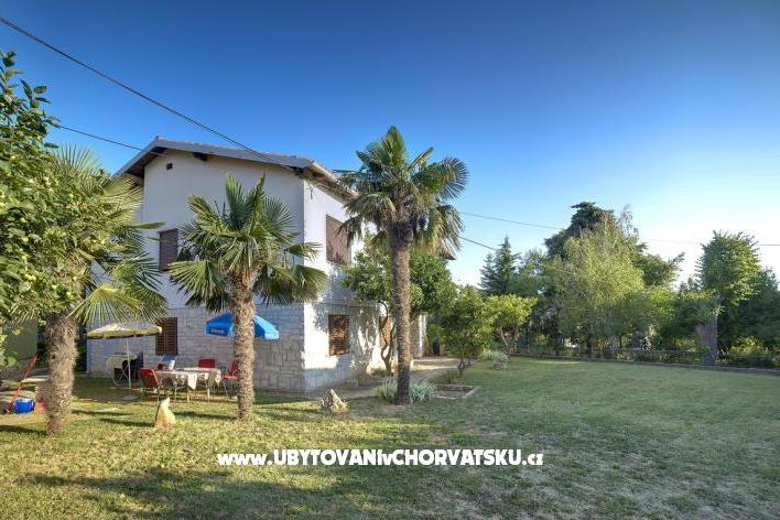 Villa Pineta – фото 2