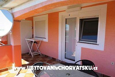 Ruža – фото 2