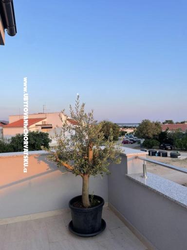 Traumhafte Ferienwohnung in Gajac – фото 17