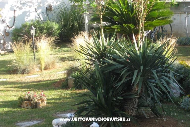 Villa Carrington – фото 3