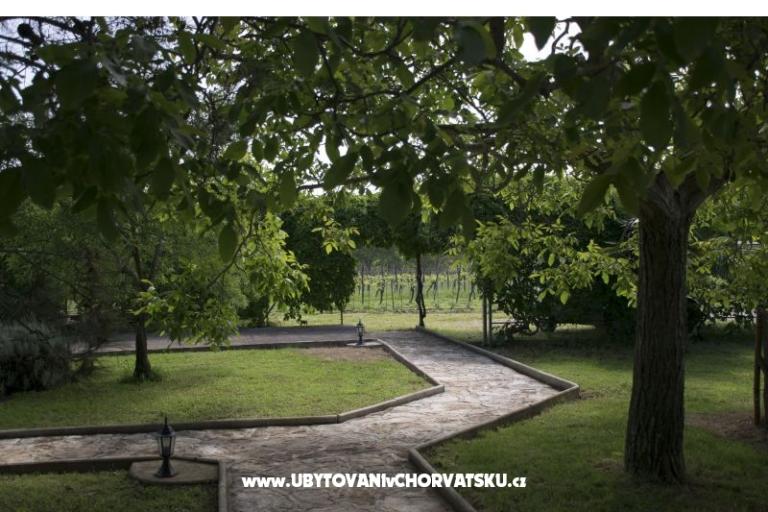 Sanja апартаменты Novigrad – фото 7