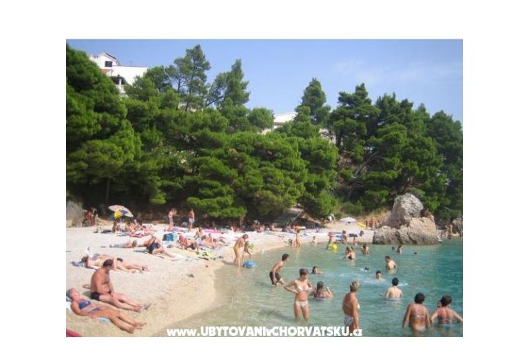 апартаменты Vila ALEN – фото 12