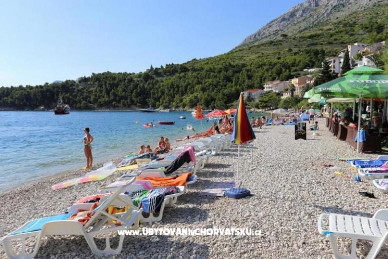 APARTMANI JELENA – фото 7