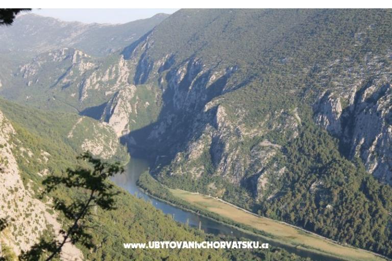 апартаменты Bašić – фото 18