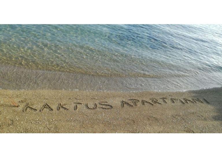 апартаменты Kaktus – фото 8