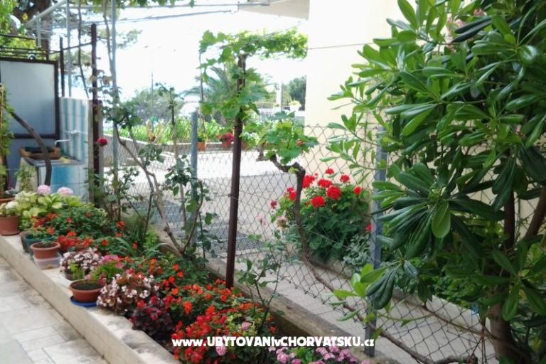apartmani Kod cara – фото 7