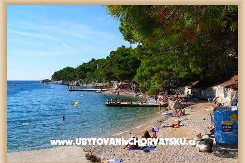 апартаменты Villa Roza – фото 15