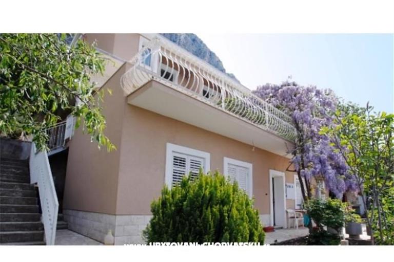 Villa Fig – фото 16
