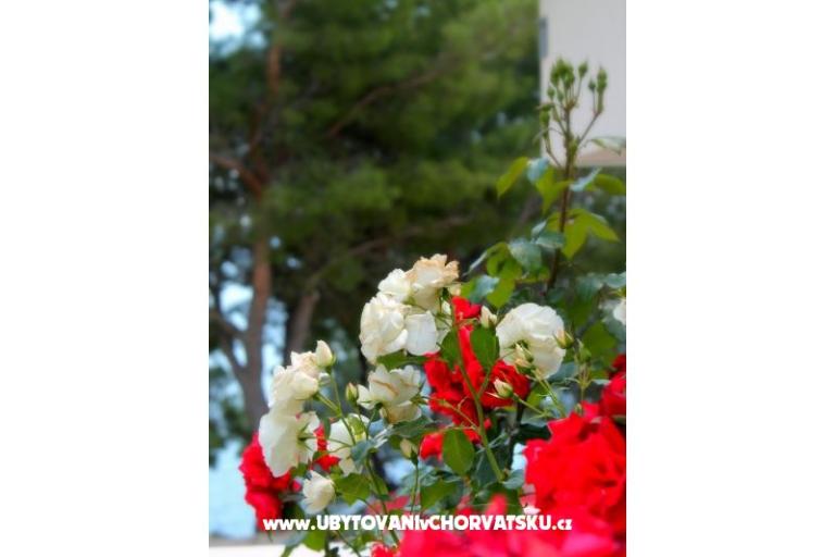 Villa Golubinka – фото 5
